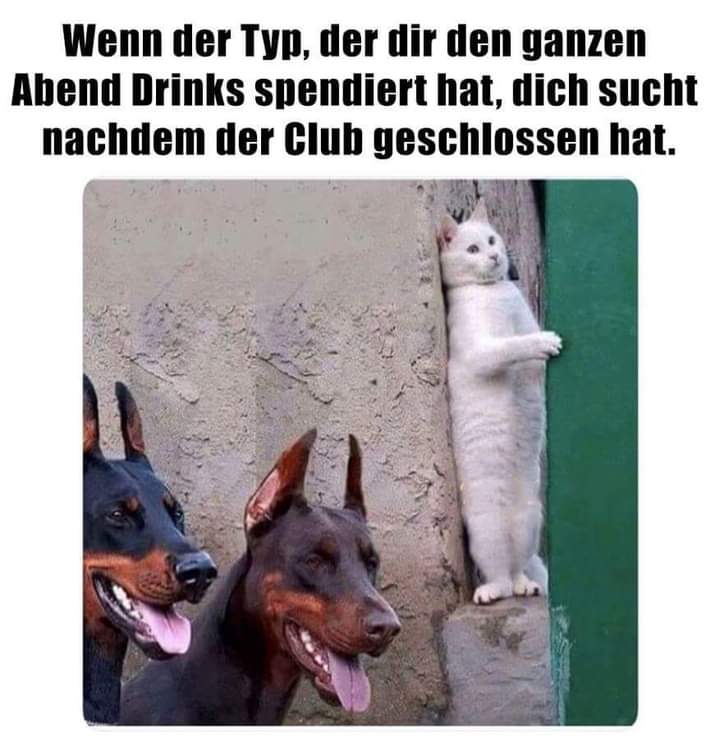 Club Club