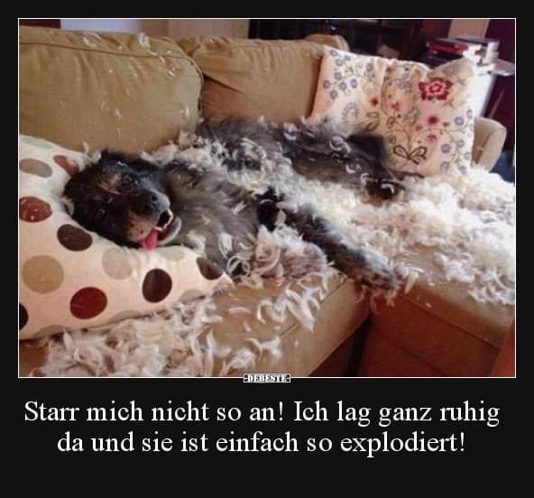 starr starr - sztywny, zesztywniały, stały, nieruchomy, nieugięty