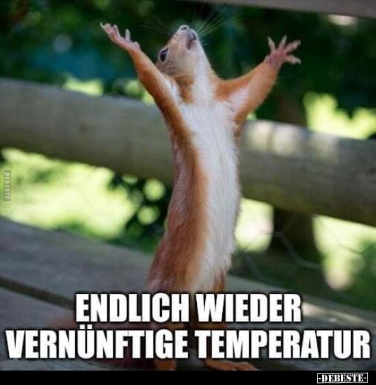 vernunftig vernunftig