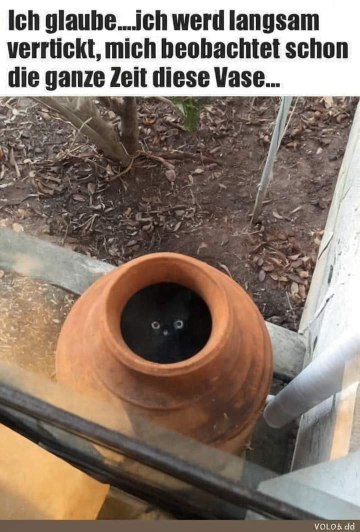 verrticken verticken - opychać, sprzedawać