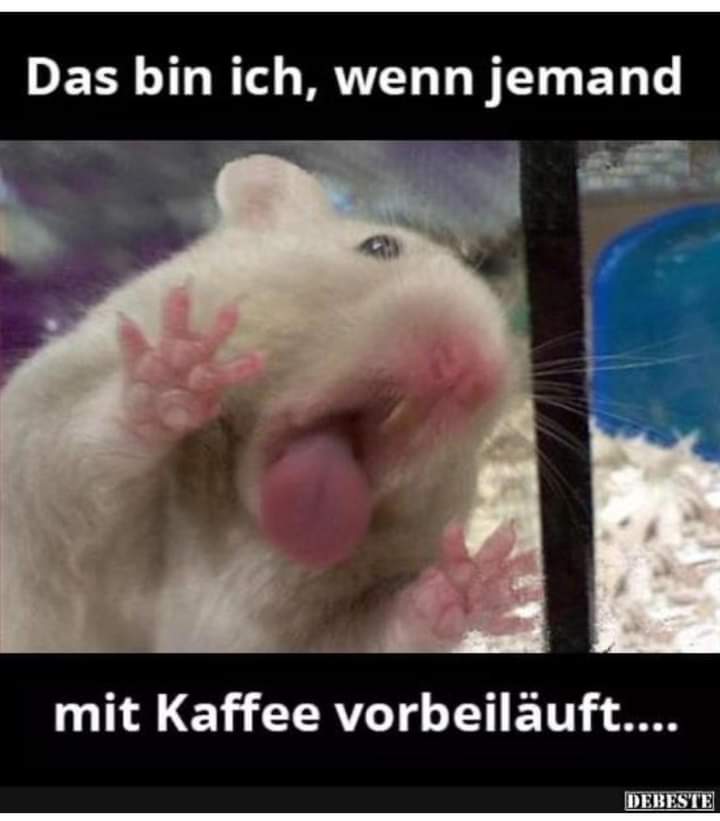 vorbeilaufen vorbeilaufen