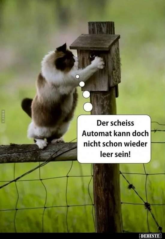 Automat Automat