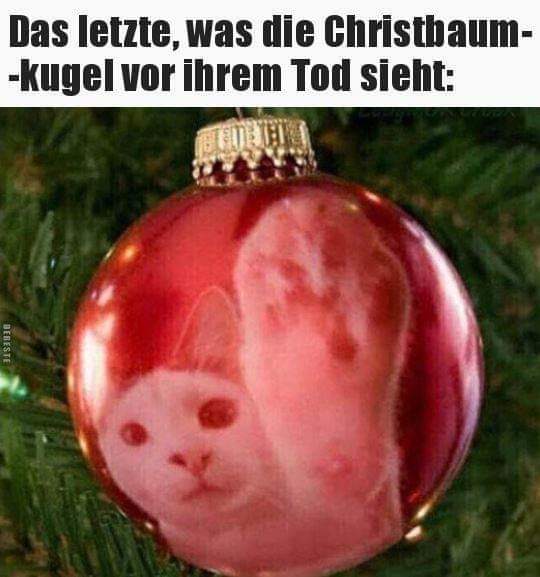 Christbaum der - choinka Christbaum der - choinka