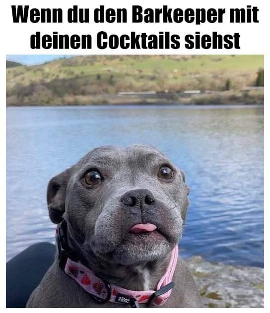 Cocktail Barkeeper