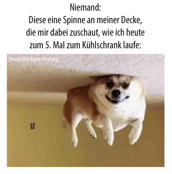 Decke die Decke - koc, serweta, sufit, kapa