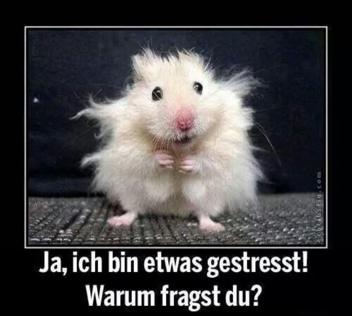 gestresst - zestresowany