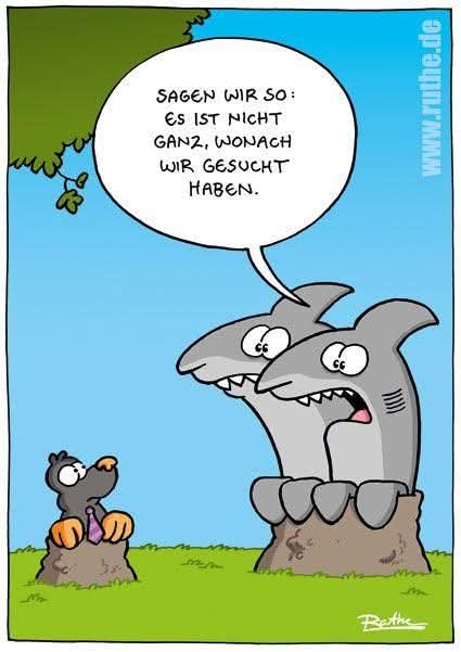 wonach - czym, o co, do czego