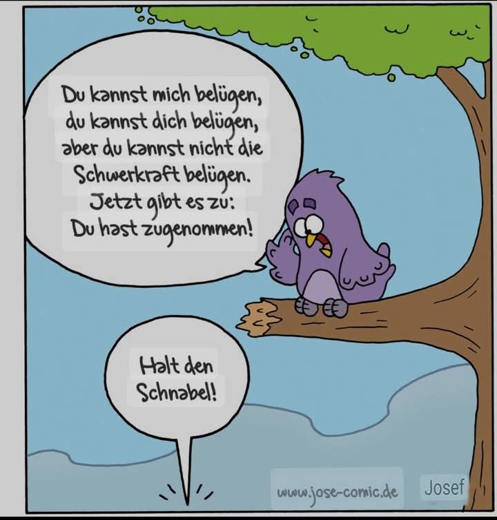 der Schnabel - dziób