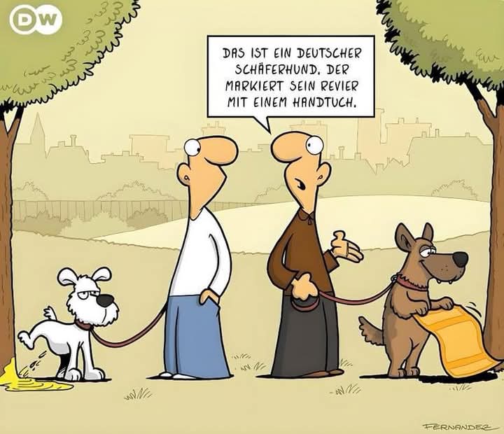 das Revier - okręg, rewir, obwód, komisariat