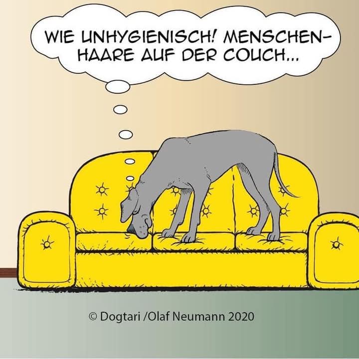 unhygienisch - niehigieniczny, niehigienicznie