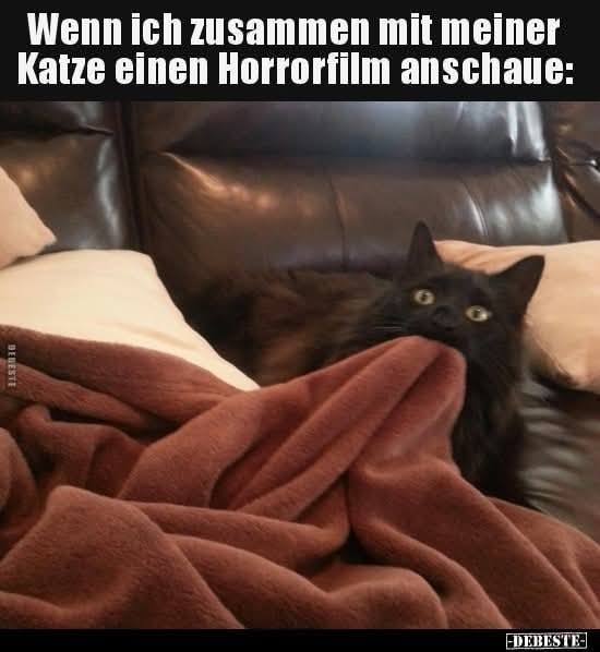 der Horrorfilm - film grozy, horror