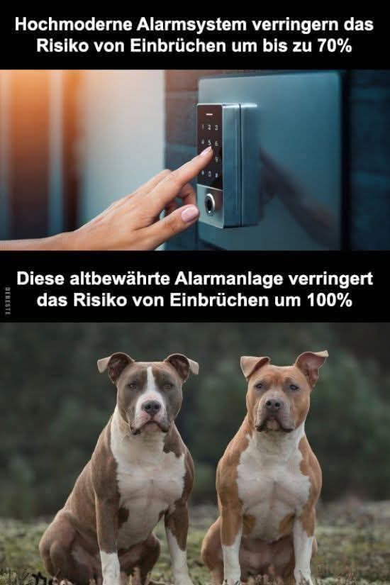 verringern - zmniejszać