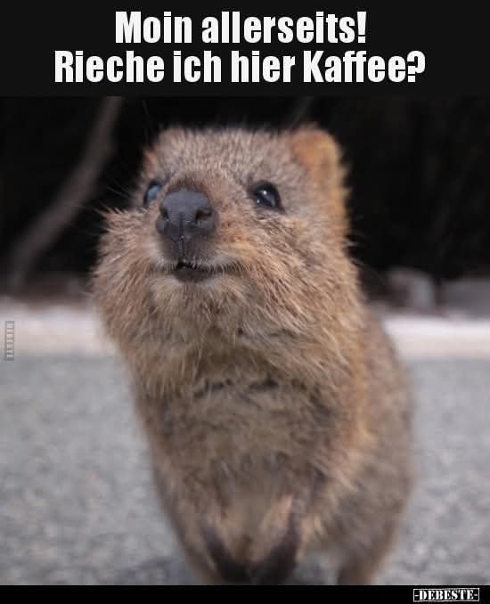 allerseits - na wszystkie strony, wszystkim