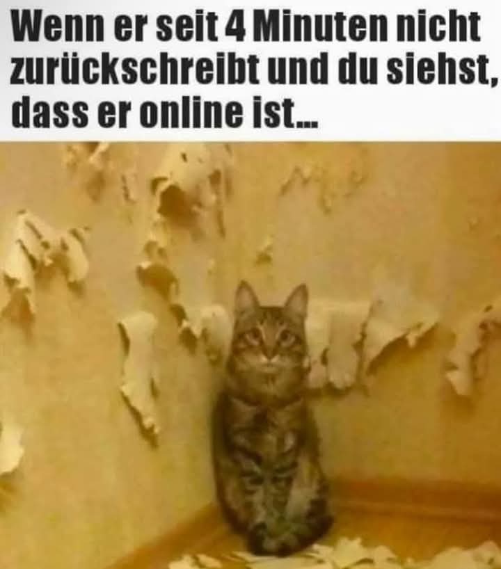 zurückschreiben - odpisywać