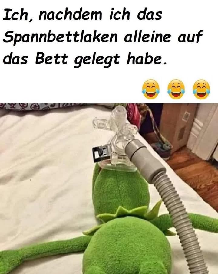 das Spannbettlaken - prześcieradło z gumką