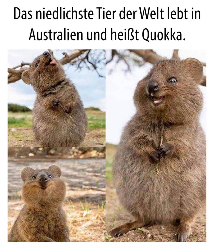 das Australien - Australia