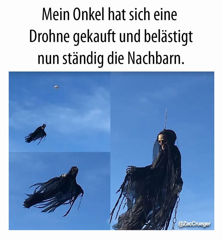 die Drohne - truteń, darmozjad, leń, dron