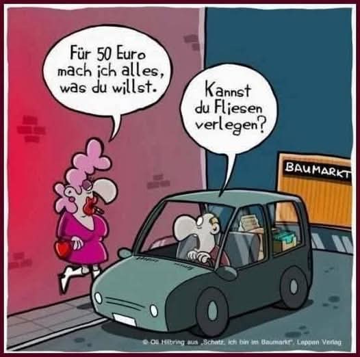der Euro - euro