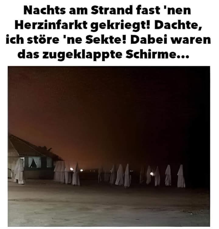 die Sekte - sekta