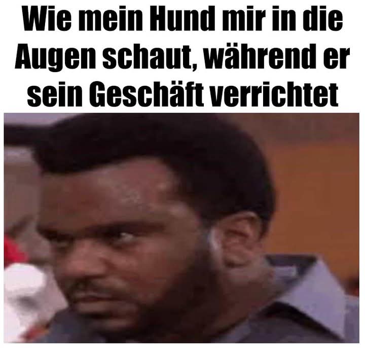 verrichten - wykonywać, sprawować, załatwiać