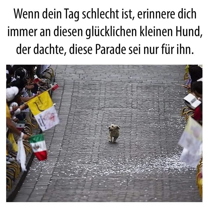 die Parade - defilada, parada