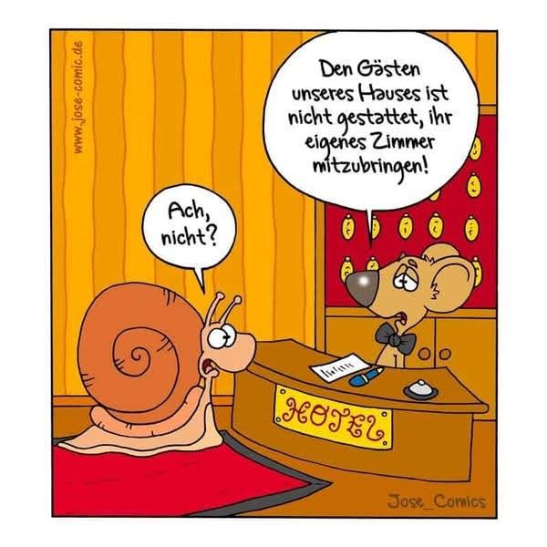 FB IMG 1741516937885