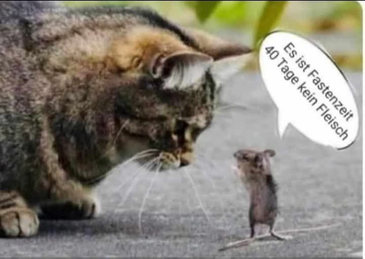 die Fastenzeit - okres postu, Wielki Post