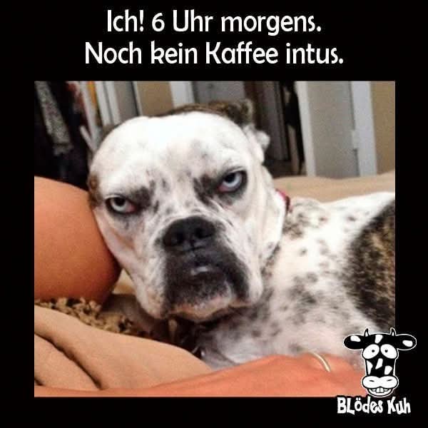 intus - mieć coś w głowie