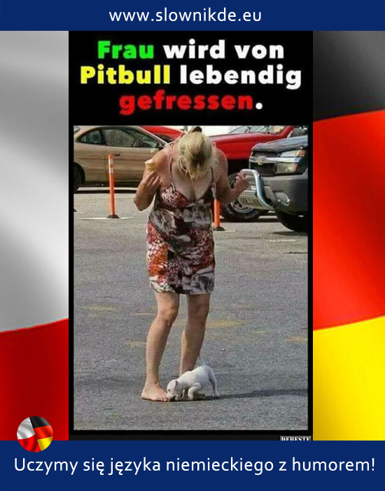 lebendig - żywy, ożywiony