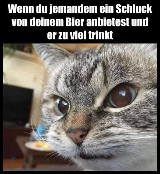 der Schluck - łyk, haust