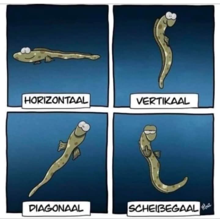 vertikal - pionowy, wertykalny, pionowo, wertykalnie