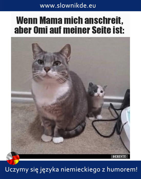 anschreien