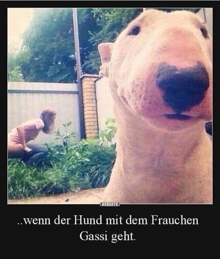 Frauchen