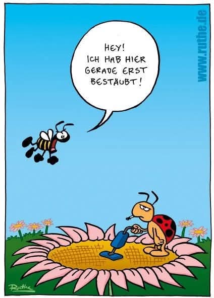 bestäuben - zakurzać, posypywać, opylać, zapylać