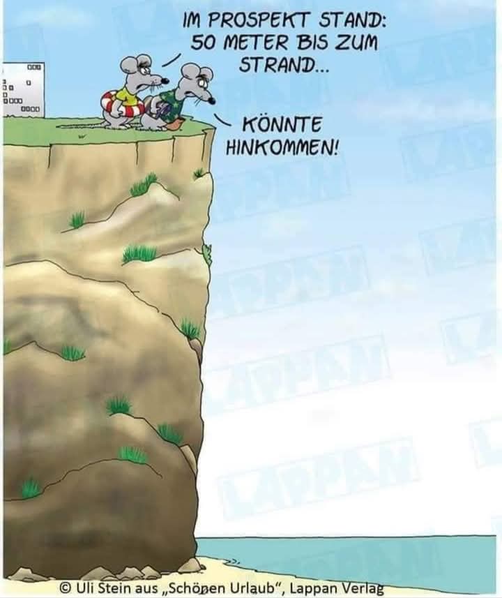 hinkommen - docierać, zachodzić, iść, zgadzać się