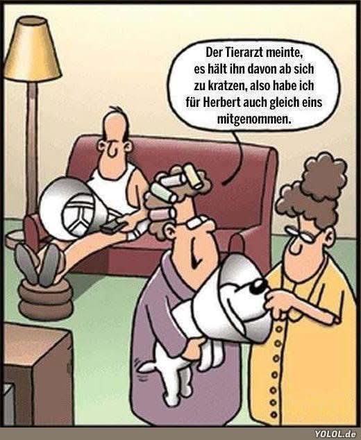 kratzen - drapać, zdrapywać, skrobać, zadrasnąć