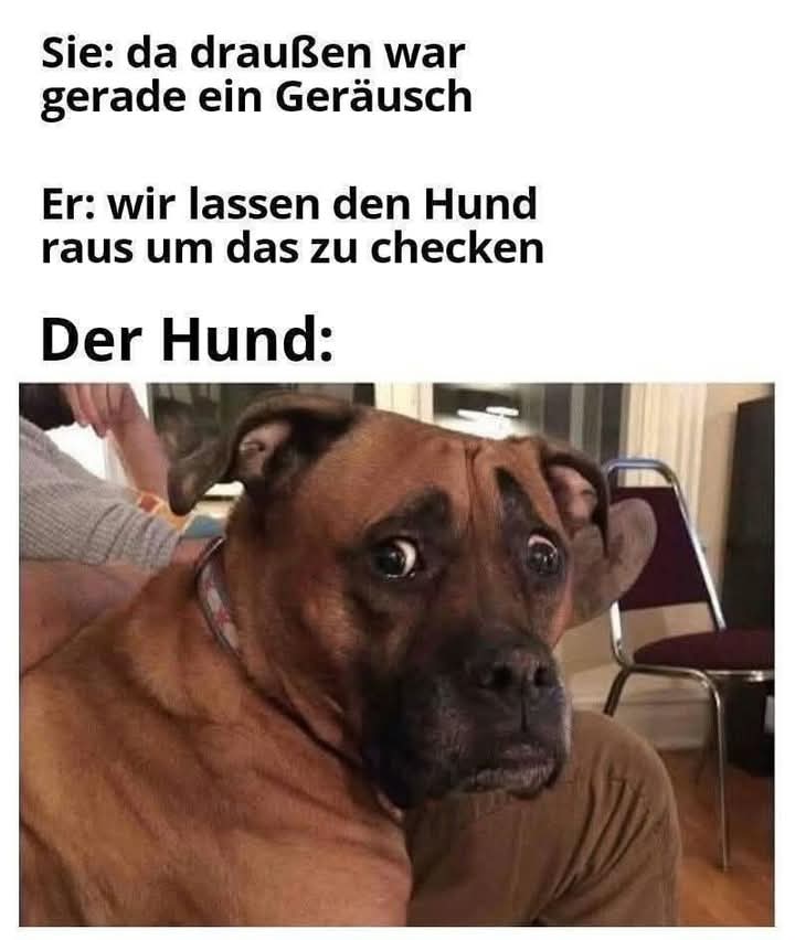 raus - wynocha!/wynocha stąd!