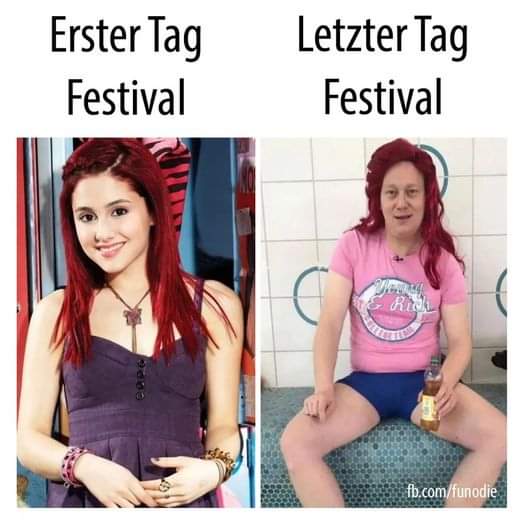 Festival das Festival - festiwal