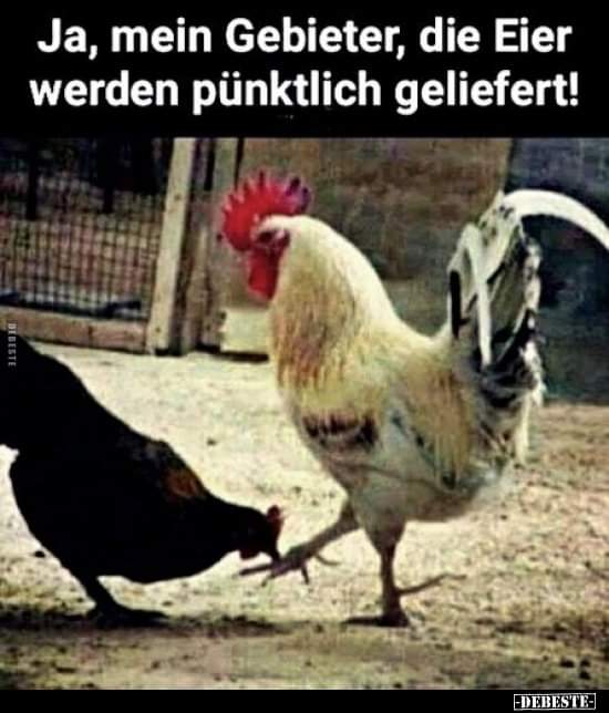 der Gebieter - władca