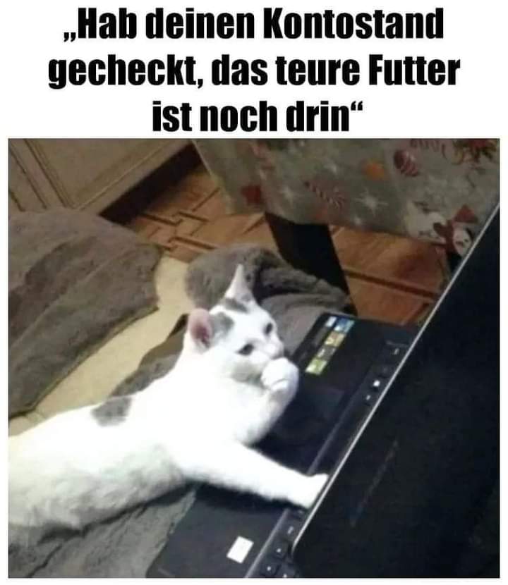 der Kontostand - stan konta