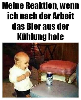 die Kühlung - ochładzanie się, chłodzenie, schładzanie