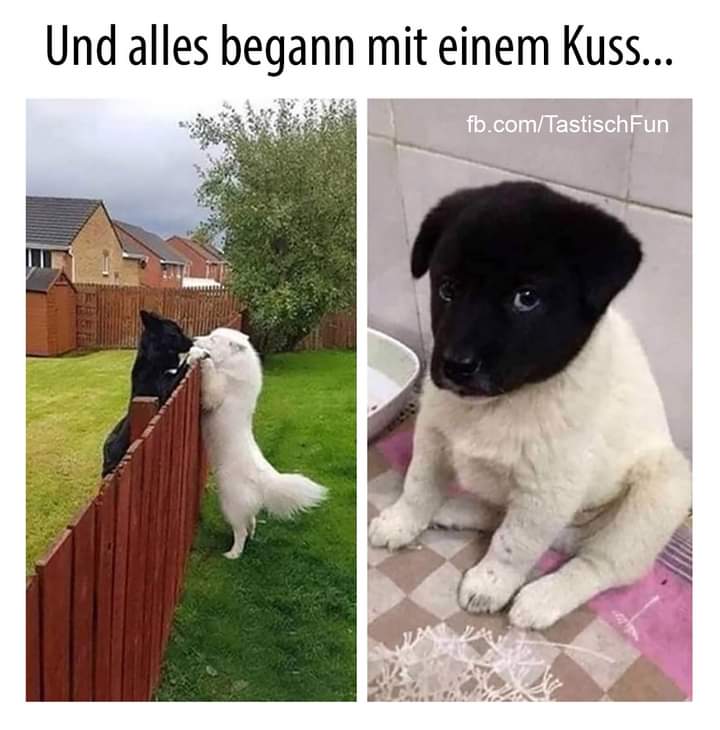 Kuss der Kuss - pocałunek, całus