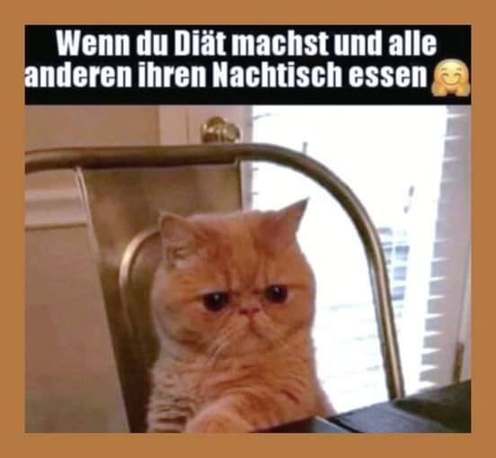 der Nachtisch - deser