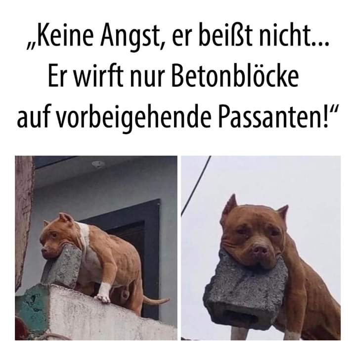 Passant der Passant - przechodzień, pieszy