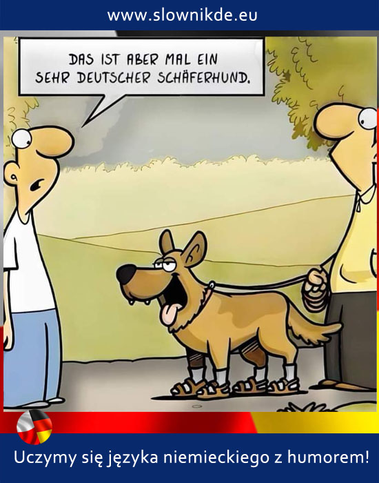 Schaferhund
