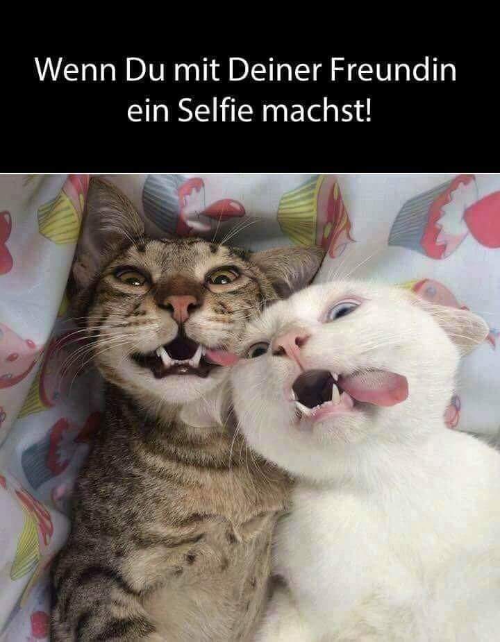 Selfie das Selfie - selfie, samojebka, masturbacja