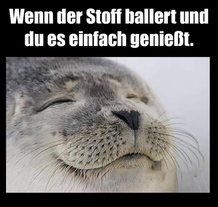 der Stoff - materiał, substancja, tworzywo, tkanina