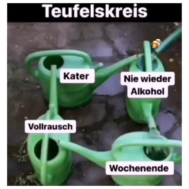 der Teufelskreis - błędne koło