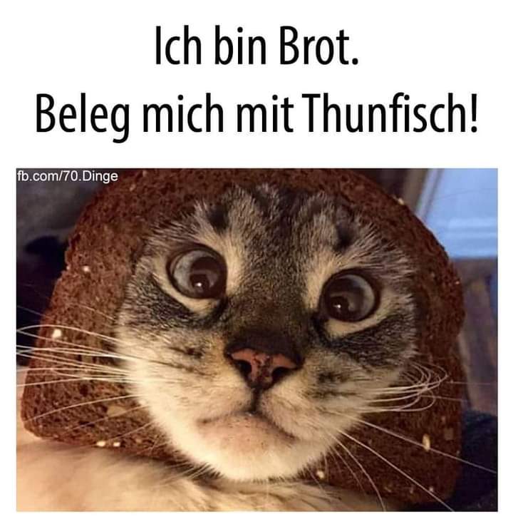 Thunfisch Thunfisch der - tuńczyk