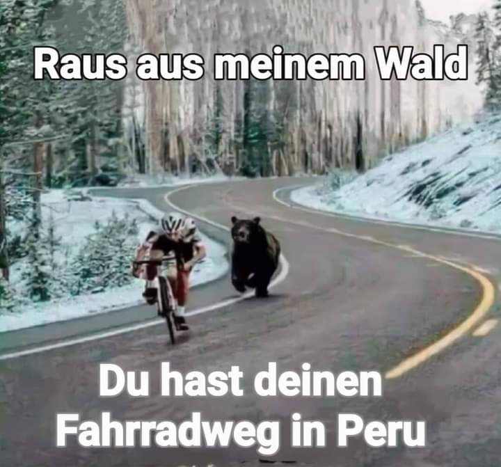 Wald